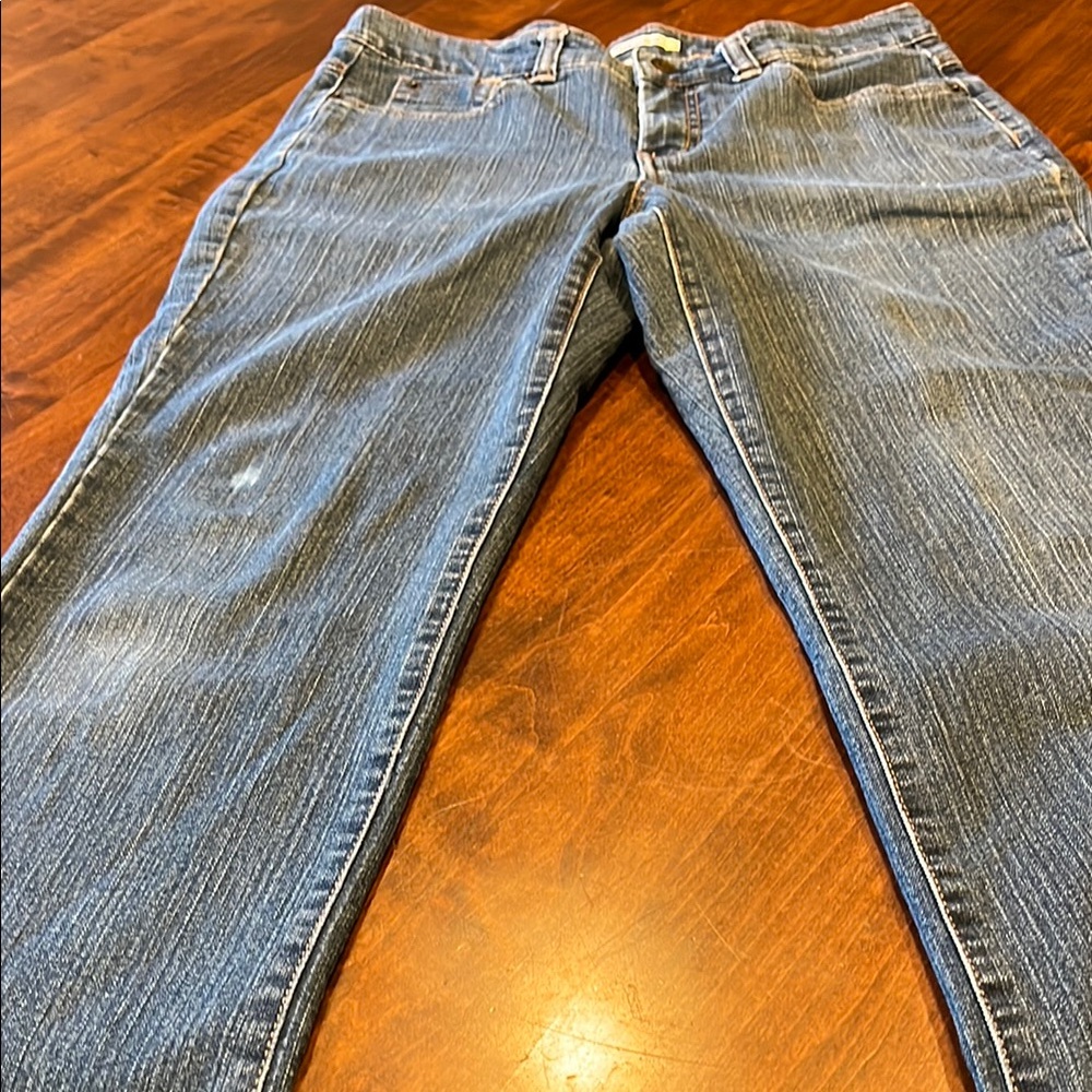 Coldwater Creek Blue Denim Jeans